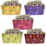Metal Iron Oval Planter Dotted | Flowers Oval Railing Planters | Multicolored