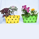 Metal Iron Oval Planter Dotted | Flowers Oval Railing Planters | Multicolored