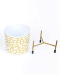 Metal Golden Print Pot  | Stand for Living Room,Balcony Decoration- Buy1 Get1 Offer