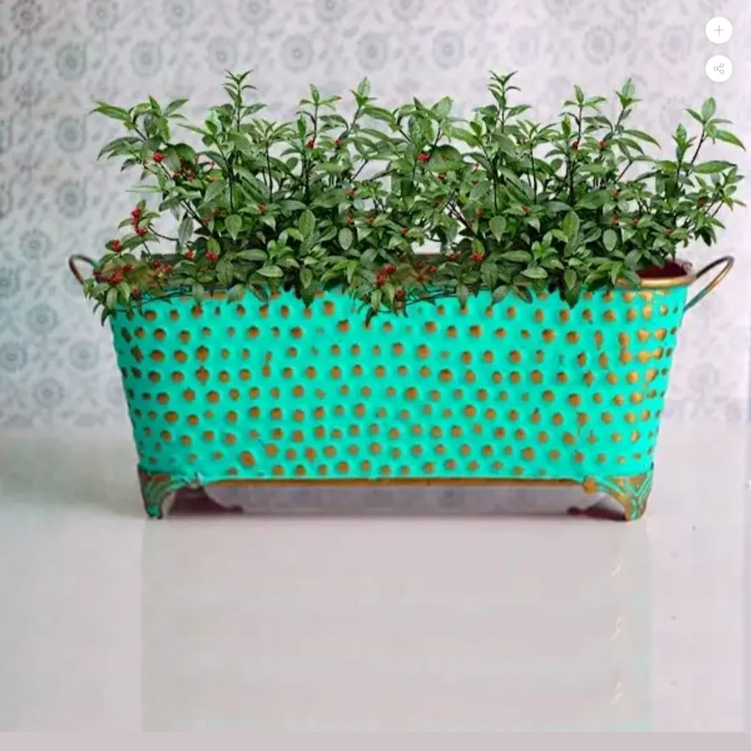 Iron Hammered Oval Shape Basket Planter pots | Set of 2